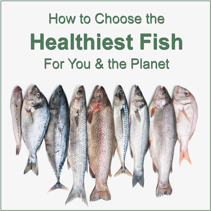 How To Choose The Healthiest Fish For You The Planet 